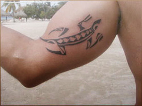 Tribal gecko tattoo designs for men Tribal gecko tattoo designs for men